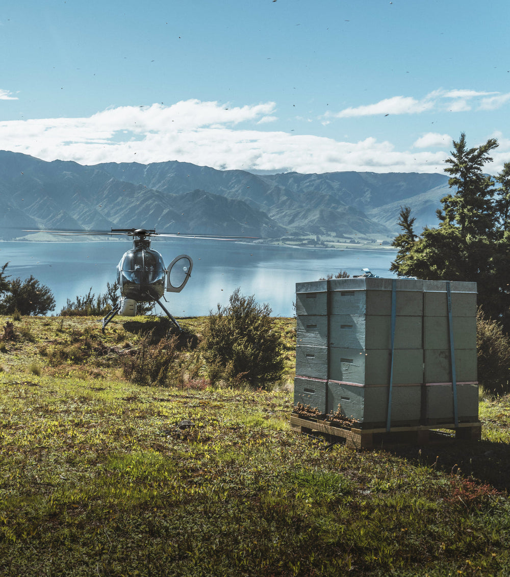Lago Hāwea · Isola del Sud