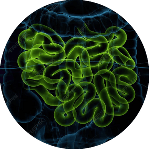 Elevata bio-attività
