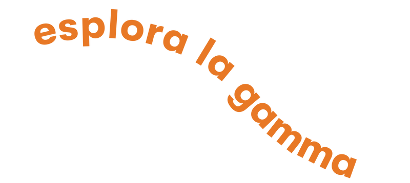Bottom Decorative Image