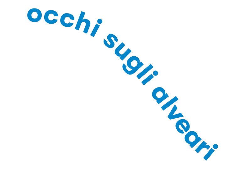 Top Decorative Image