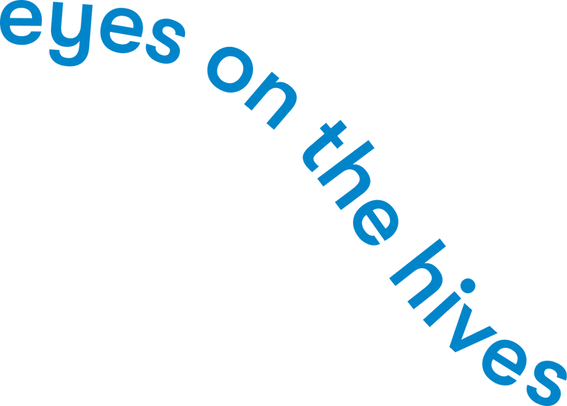 Top Decorative Image